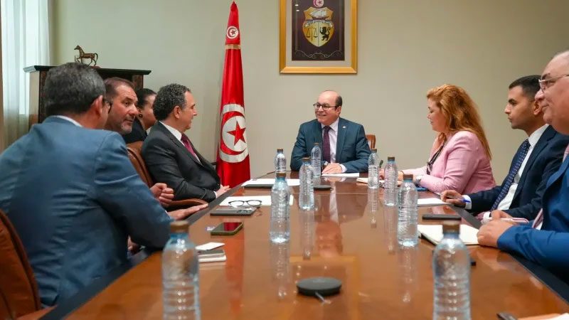 تونس والبرازيل تدرسان أفاق التعاون في مجالات السيا